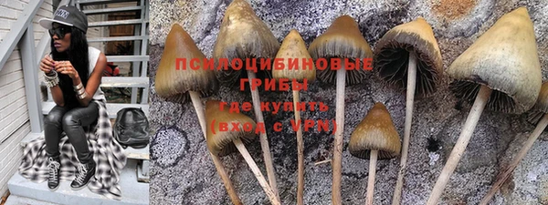 экстази Алексин